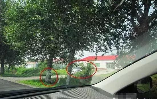 测速雷达探测器(电子狗)如何选购?